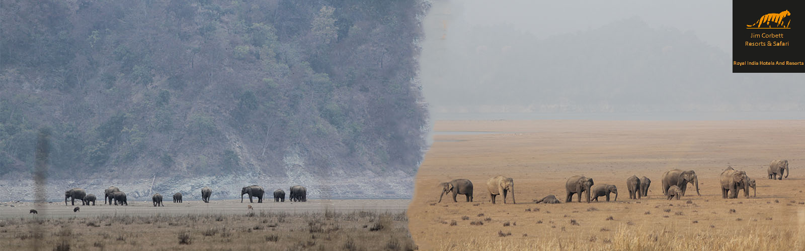 jim-corbett