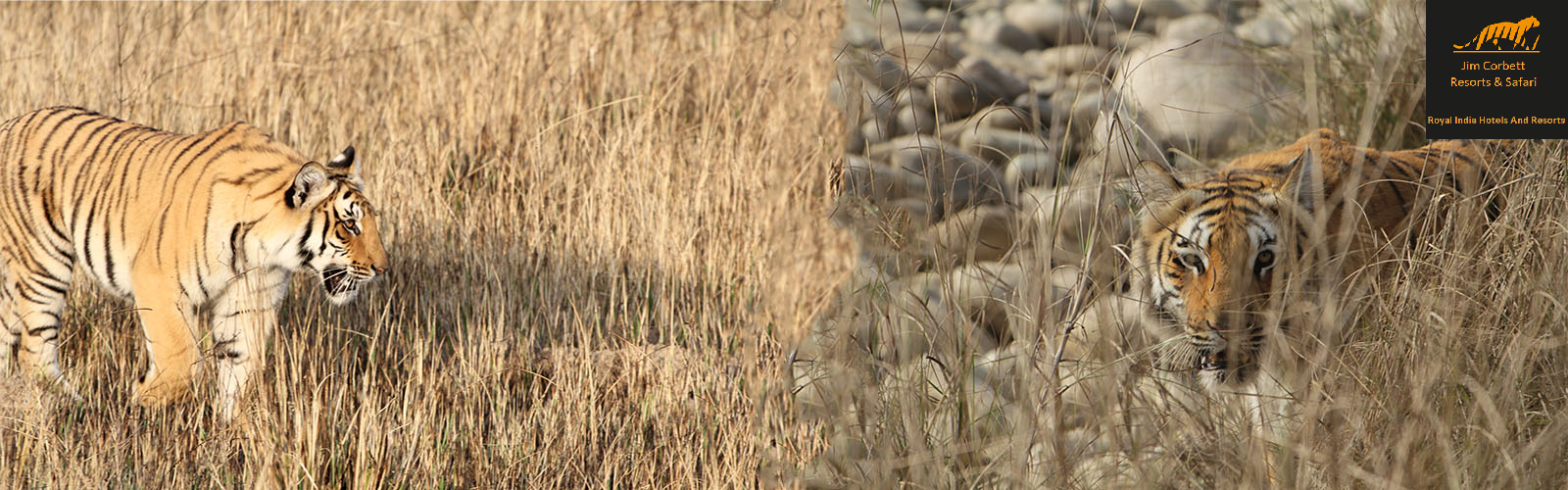 jim-corbett