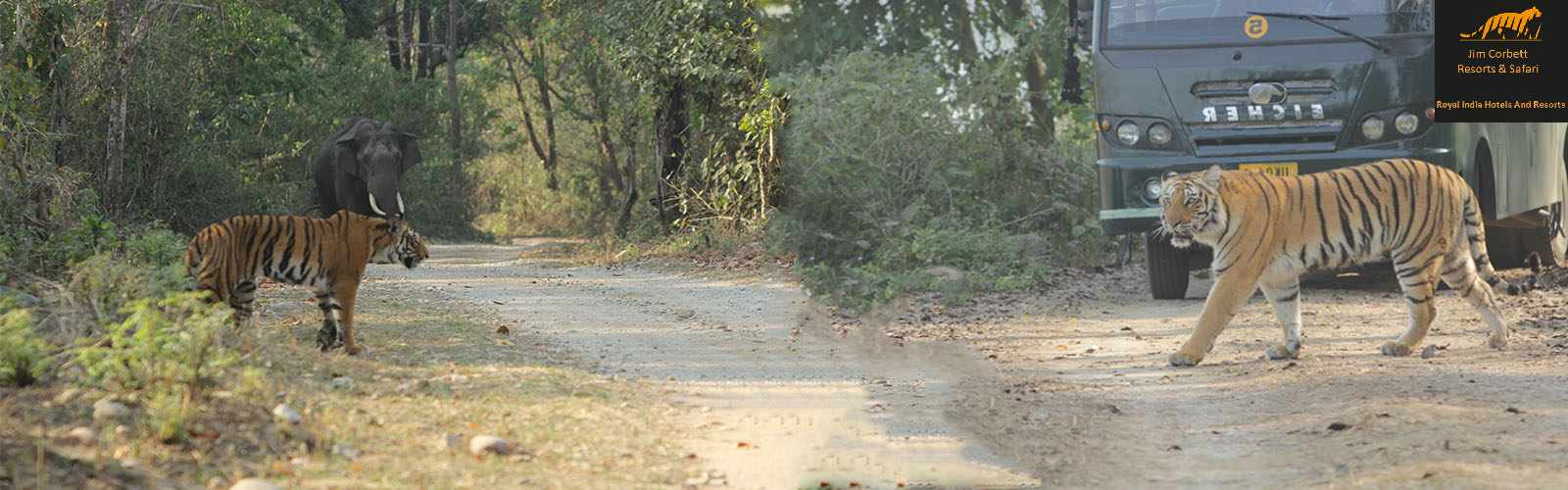 jim-corbett